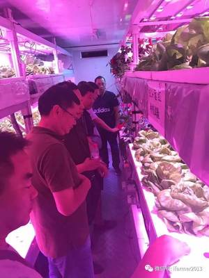 智慧農業新篇章 宿遷市領導參觀旭田植物工廠，共話苗木種植現代化未來